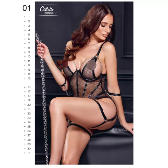 Exclusive Girls 2027 - calendar de perete erotic (1 buc.)