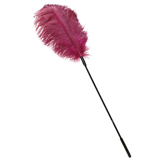 Gumă de șters pentru stilou de struț (roz)