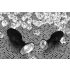 You2Toys - butt plug anal mic - silicon cu diamant