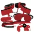 Bad Kitty - set BDSM - roșu