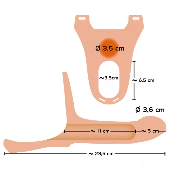 You2Toys - strap-on M - dildo gol cu curea - culoare natur