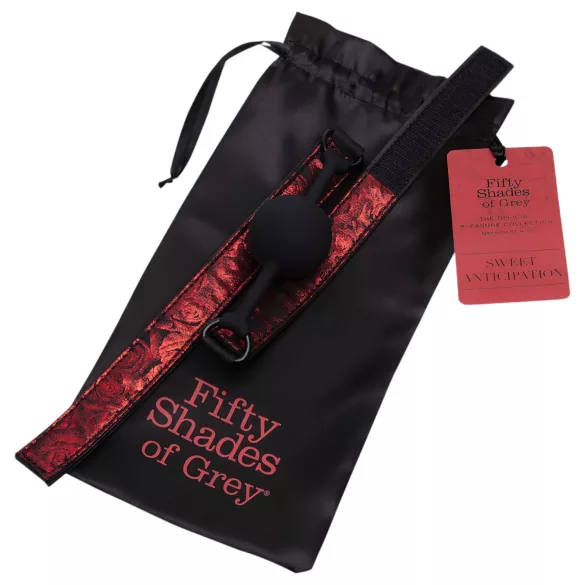 Fifty Shades of Grey - dop pentru gură piele ajustabil negru-roșu