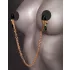 Pipedream Fetish Fantasy Gold - cleme pentru sfârcuri (aurii)