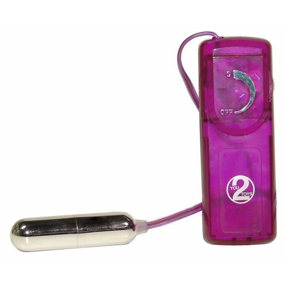 You2Toys - Surprize erotice - set vibrator (12 piese)