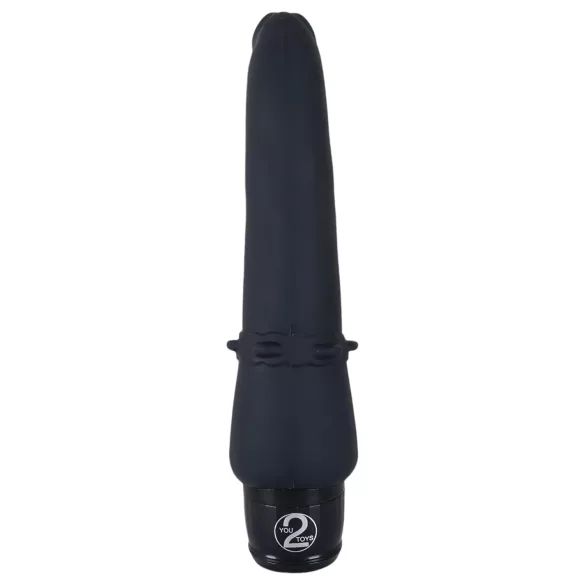 You2Toys - vibrator anal cu vibrații - silicon negru