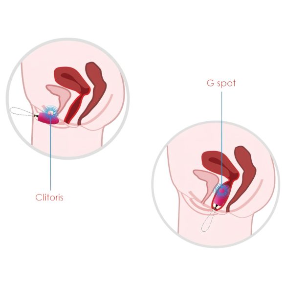 Svakom Elva - ou vibrator cu telecomandă reîncărcabil - roșu