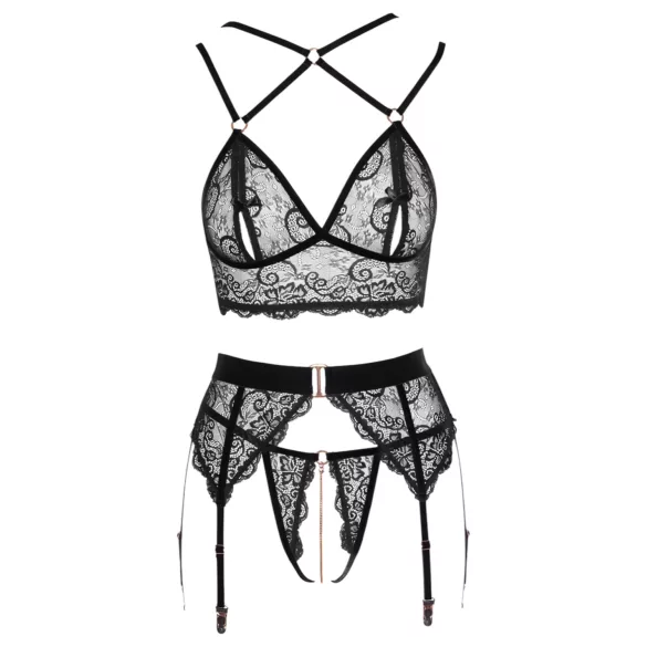Abierta Fina - set lenjerie sexy din dantelă - negru