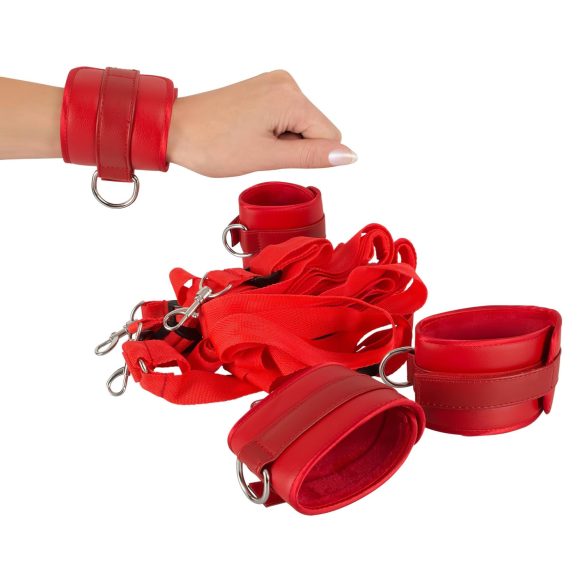 Bad Kitty - set de restrângere la pat din piele ecologică cu scai - roșu