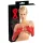 LATEX - mănuși lungi unisex - latex roșu - M