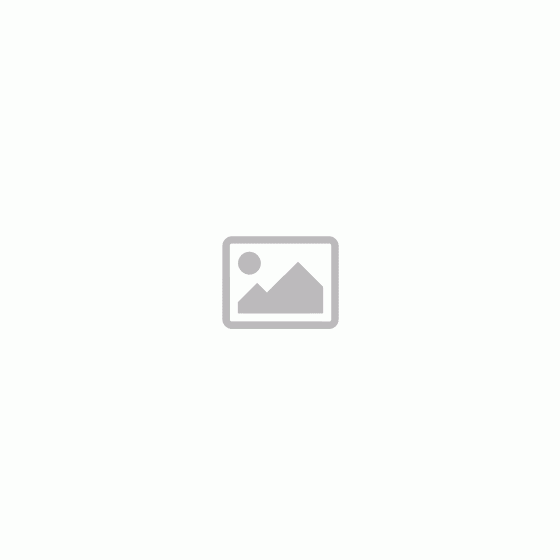 Penthouse Above & Beyond - rochie din plasă de plasă (negru) - XL