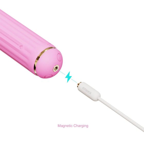 Bagheta Magica - vibrator cu brat clit interschimbabil (roz)
