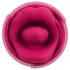 You2Toys Oral Fun - stimulator de clitoris cu limbă (roz)