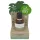 Coconutoil - Ulei bio după epilare și ras - 50ml