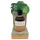 Coconutoil - ulei bronzant bio - 80ml