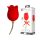 Pretty Love Rose Lover - Vibrator 2in1 cu limbă pentru clitoris (roșu)