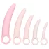 CalExotics Inspire - set dilatatoare vaginale medicale - silicon roz