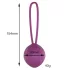 Engily Ross Leigh - bile vaginale Kegel - silicon - mov