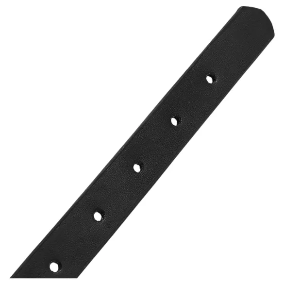 Latetobed - gag bucal cu recipient pentru lichide - negru