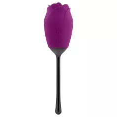   Playboy - vibrator tip petală cu limbă, rezistent la apă, reîncărcabil, mov