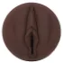 Fleshlight Nicole Kitt Purrrrrfection - masturbator - vagin