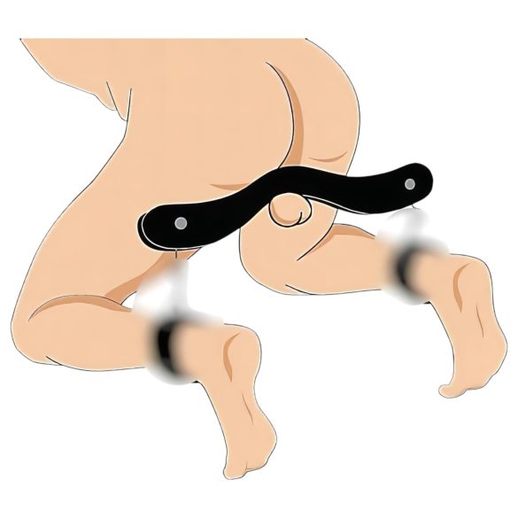 Fa - cutie pentru penis - blocaj - lemn negru