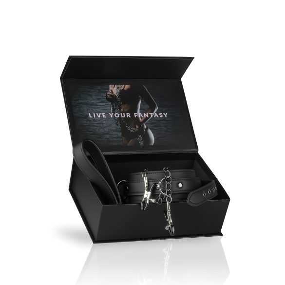 Easytoys - set 4 piese: cleme sâni, zgardă și lesă