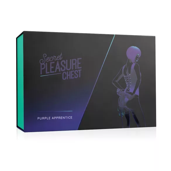 Secret Pleasure Chest - set BDSM avansat (14 piese)