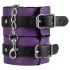 Secret Pleasure Chest - set BDSM avansat (14 piese)