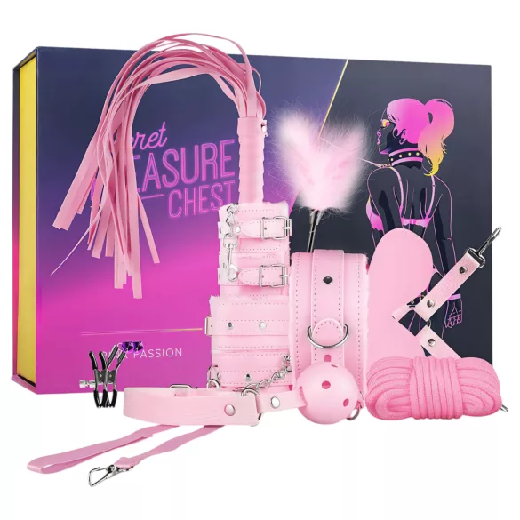 Secret Pleasure Chest - set avansat BDSM - 14 piese (roz)