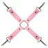 Secret Pleasure Chest - set avansat BDSM - 14 piese (roz)