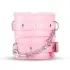 Secret Pleasure Chest - set BDSM avansat - 14 piese - roz