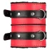 Secret Pleasure Chest - set BDSM avansat - 10 piese (roșu)