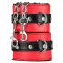 Secret Pleasure Chest - set BDSM avansat - 10 piese (roșu)