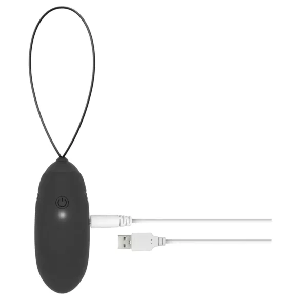 LUV EGG - ou vibrator cu acumulator, purtabil, cu telecomandă radio (negru)
