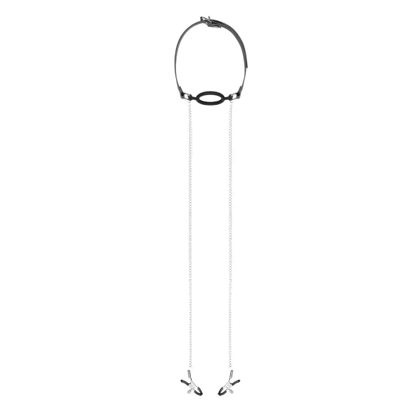 Bedroom Fantasies - set gag bucal și cleme sfârcuri - argintiu-negru