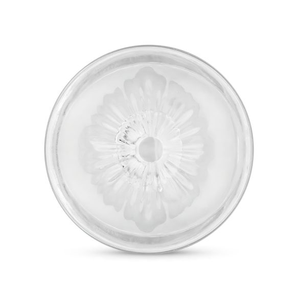 FPPR. - masturbator dublu capăt - vagin & anus - transparent