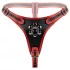 Easytoys - chiloți cu dildo triplu strap-on - negru