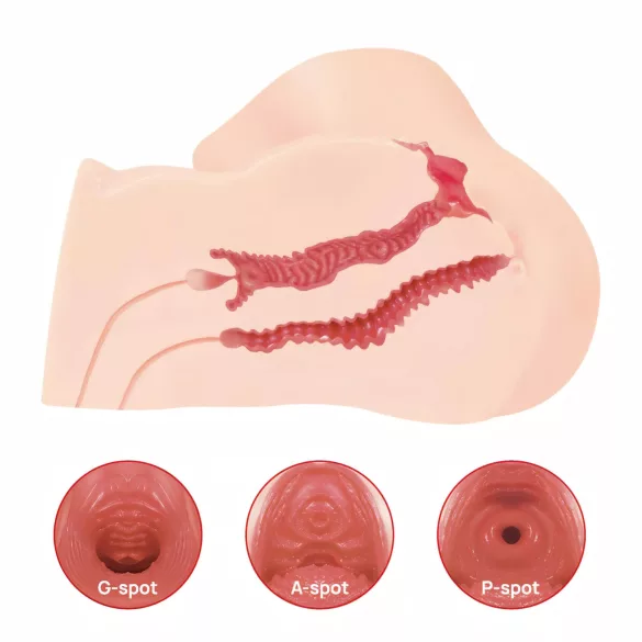 Kokos Maria - masturbator realist torso vagin și anus - silicon natur