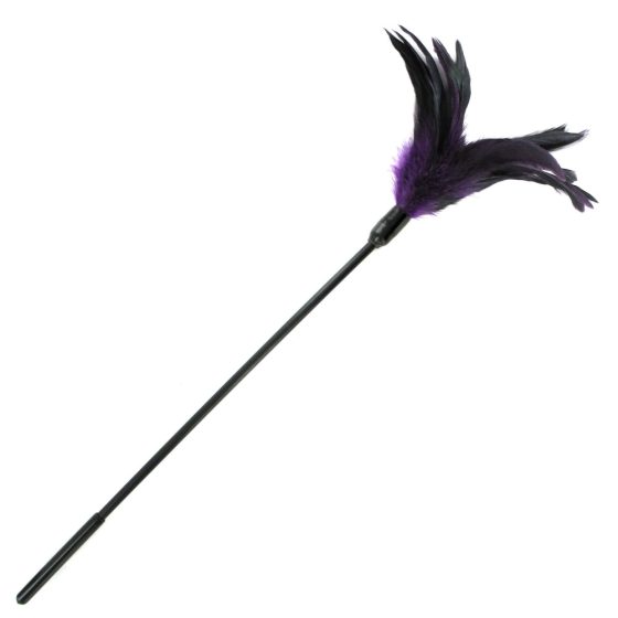 Sportsheets - stimulator cu pene, cu maner lung (violet-negru)