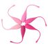 Set biluțe kegel gésa Femmefit FeelzToys (6 piese)